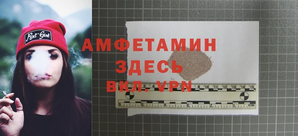 гашик Краснослободск