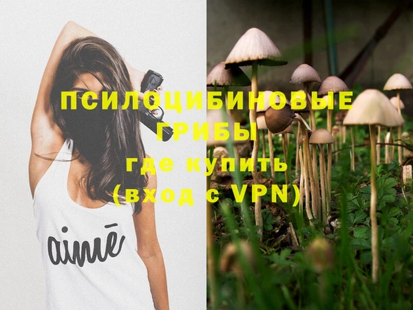 стаф Краснотурьинск