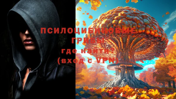 стаф Краснотурьинск