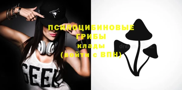 тгк Лагань