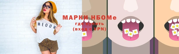 гашик Краснослободск