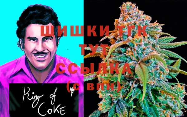 гашик Краснослободск