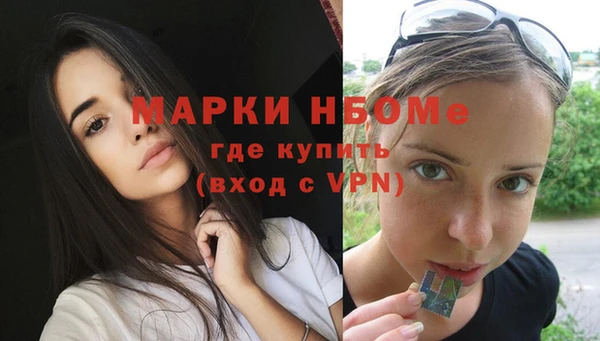 гашик Краснослободск