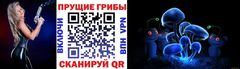 Галлюциногенные грибы мухоморы  Стародуб 